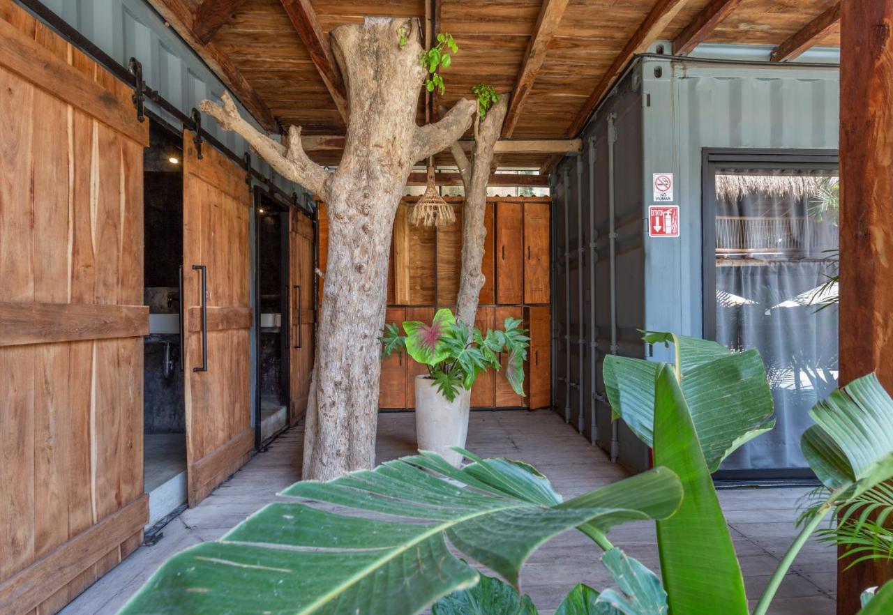 Albergue Meteora & Coffeehouse Tulum